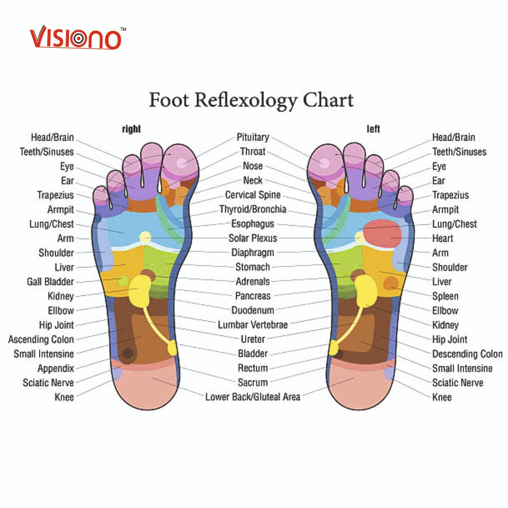 Blood Circulation Machine