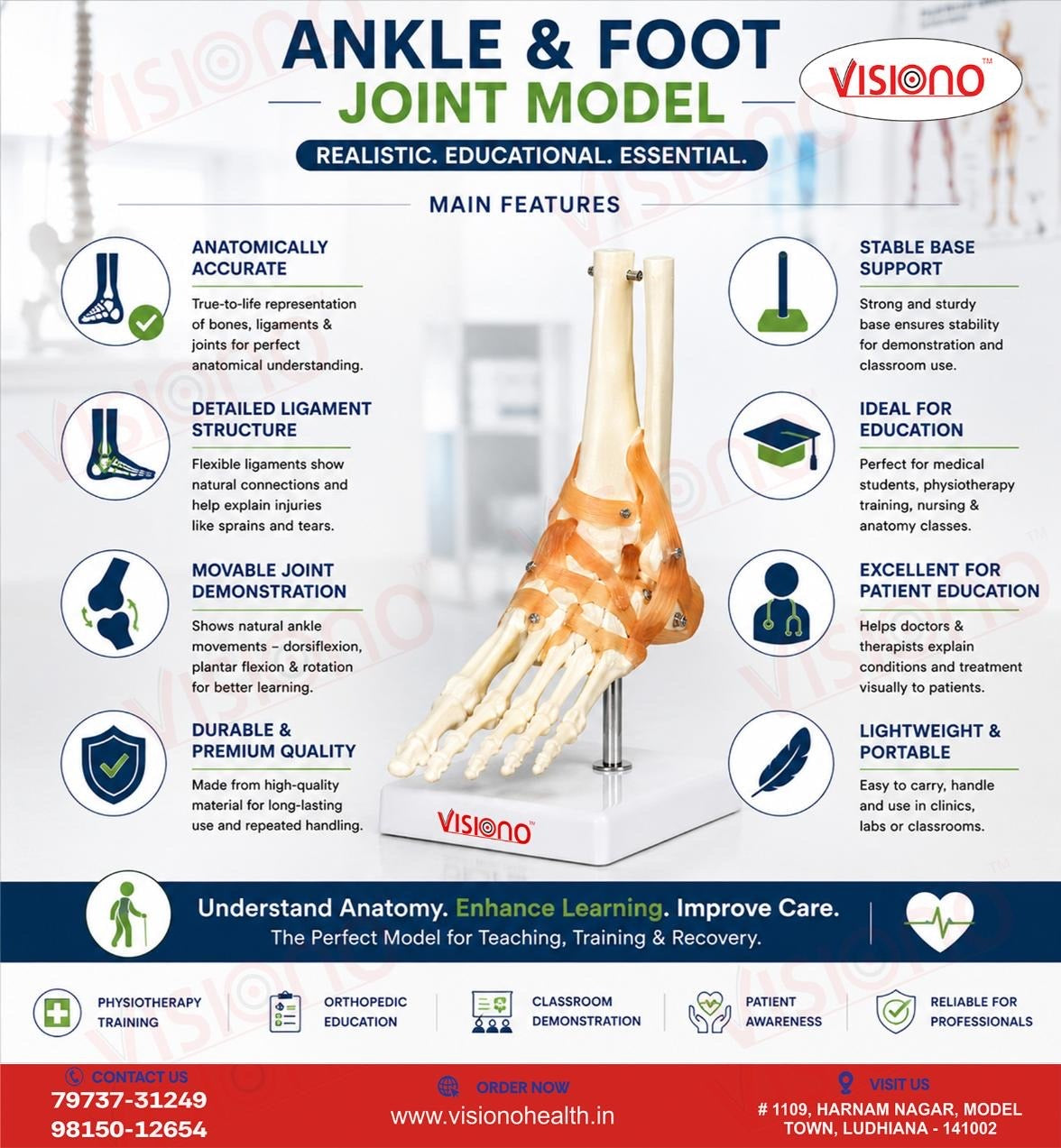 Ankle Joint